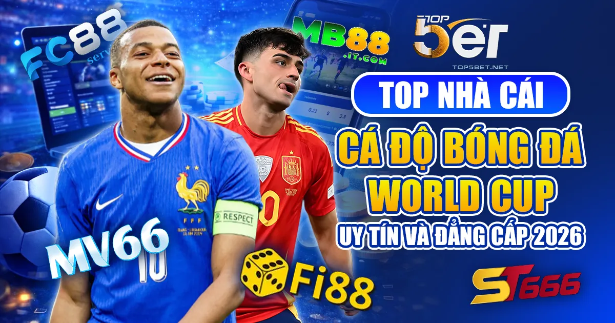 top nhà cái cá độ bóng đá World Cup